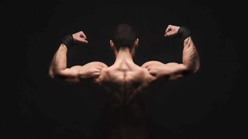 Unleash Your Shoulder Power: A Guide to Gym Exercises for Bigger and ...