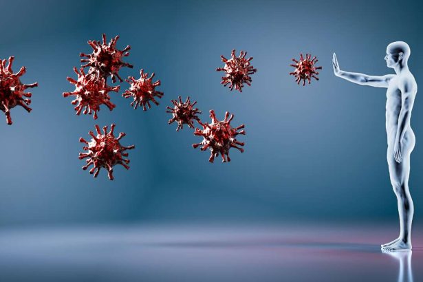 immune system