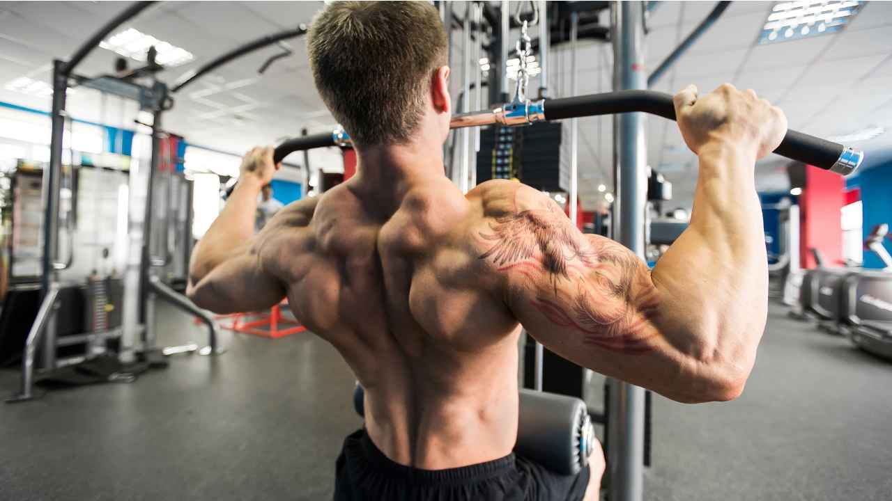 Unlocking the Pull Workout: Essential Insights