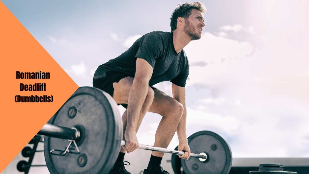 Romanian Deadlift (Dumbbells) 