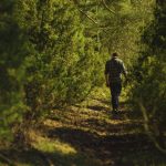Beyond Movement: The Healing Journey of Walking Meditation