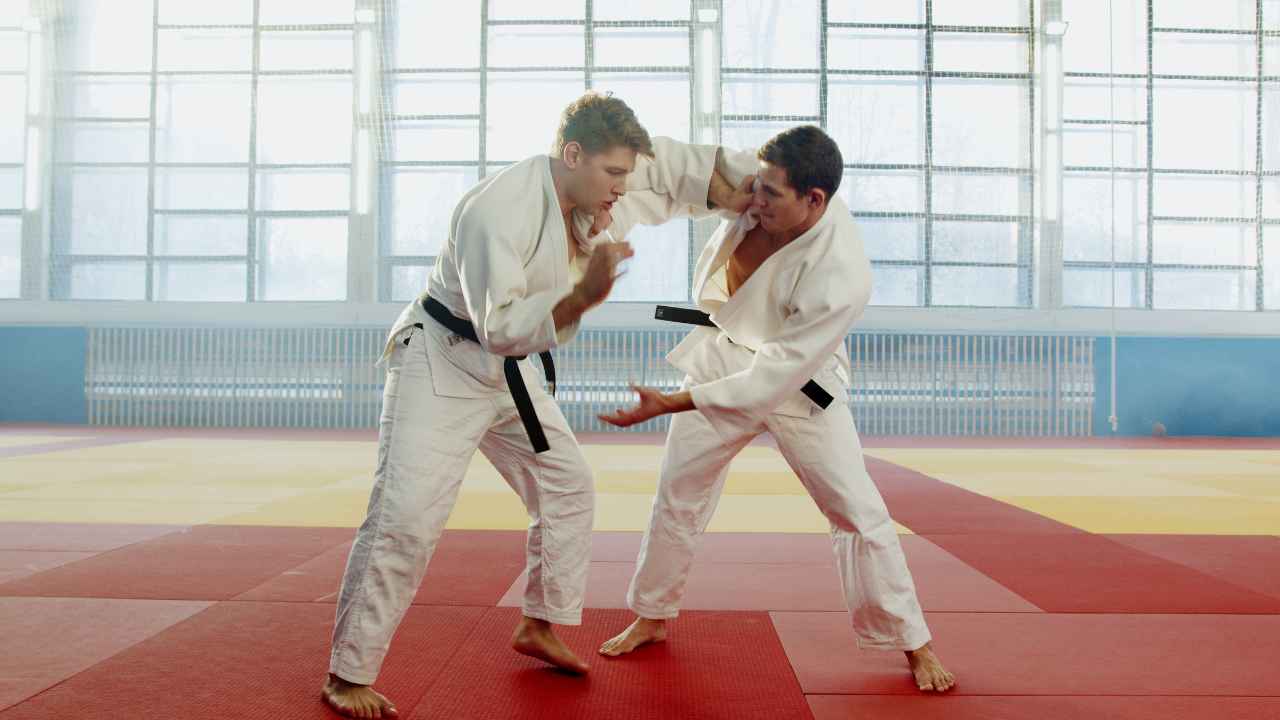 Looking for a Combination of Throws and Submission Holds - Judo Techniques