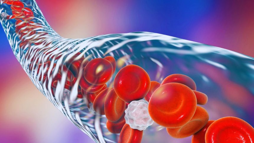 Secrets of Better Blood Flow: Top 5 Yoga Poses for Circulation