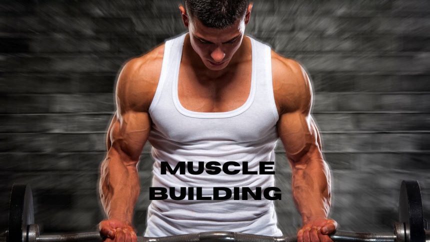 10 Game-Changing Muscle-Building Exercises for Beginners